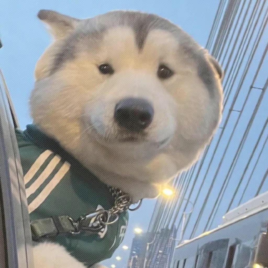 太阳海星