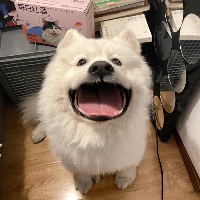 按时吃吃饭