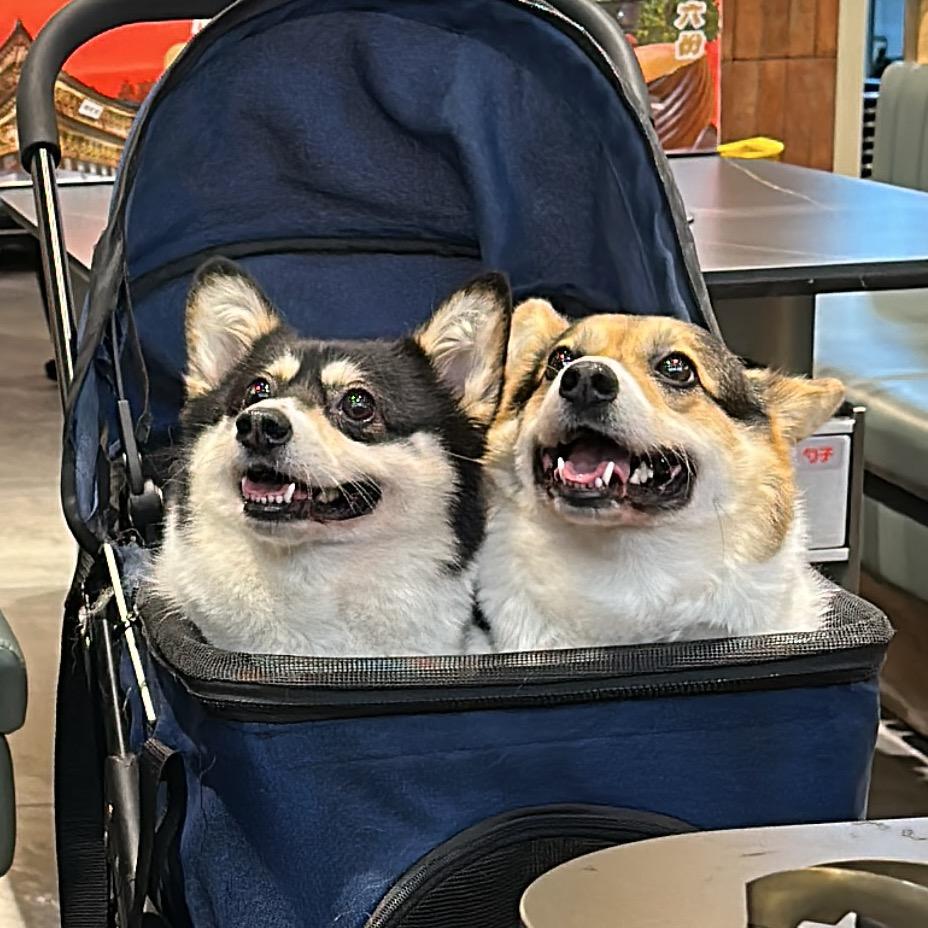 小黑&Umi