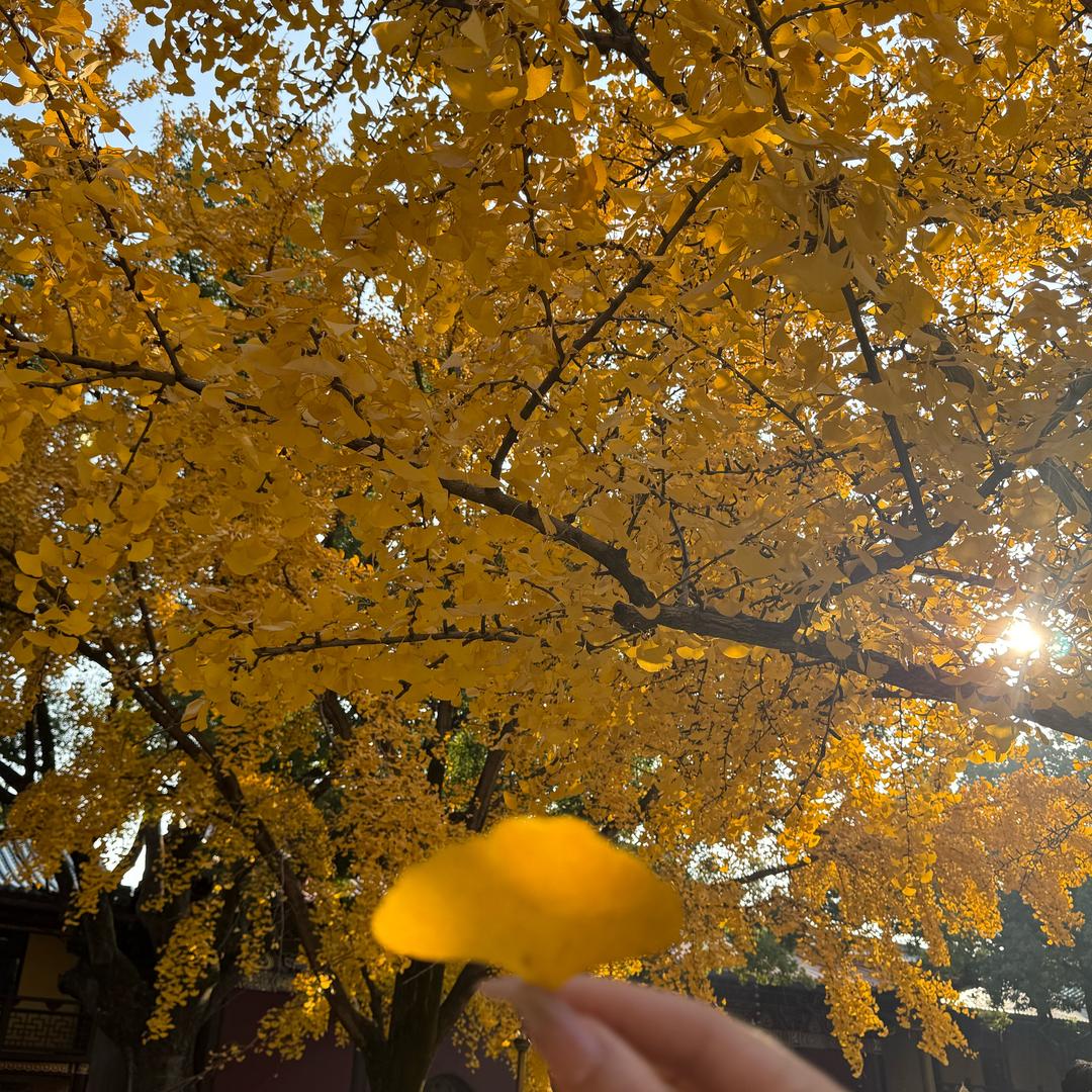 万万