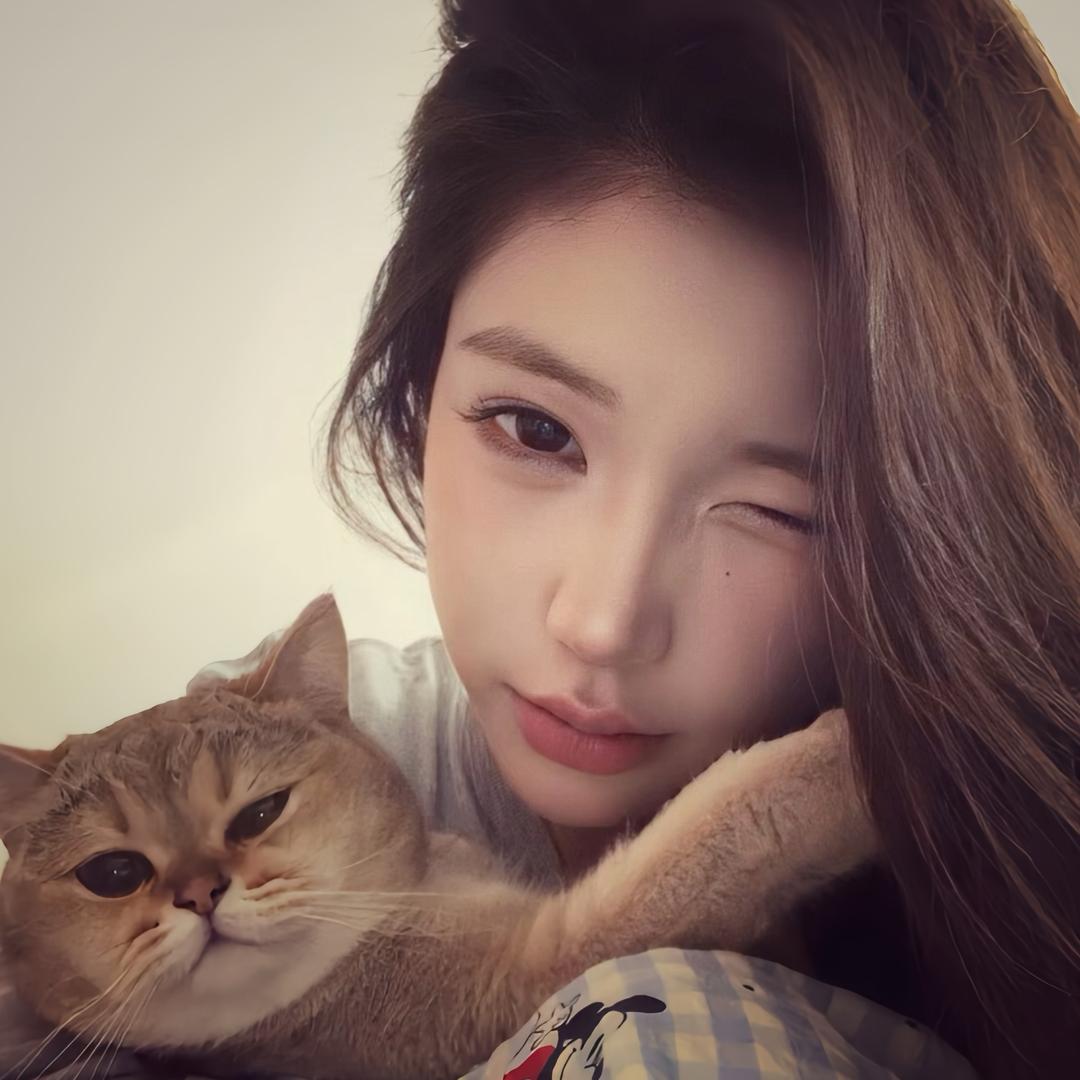 嘉少🦁