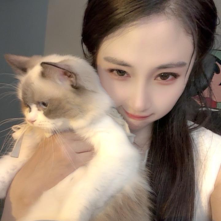 喵喵喵🐱