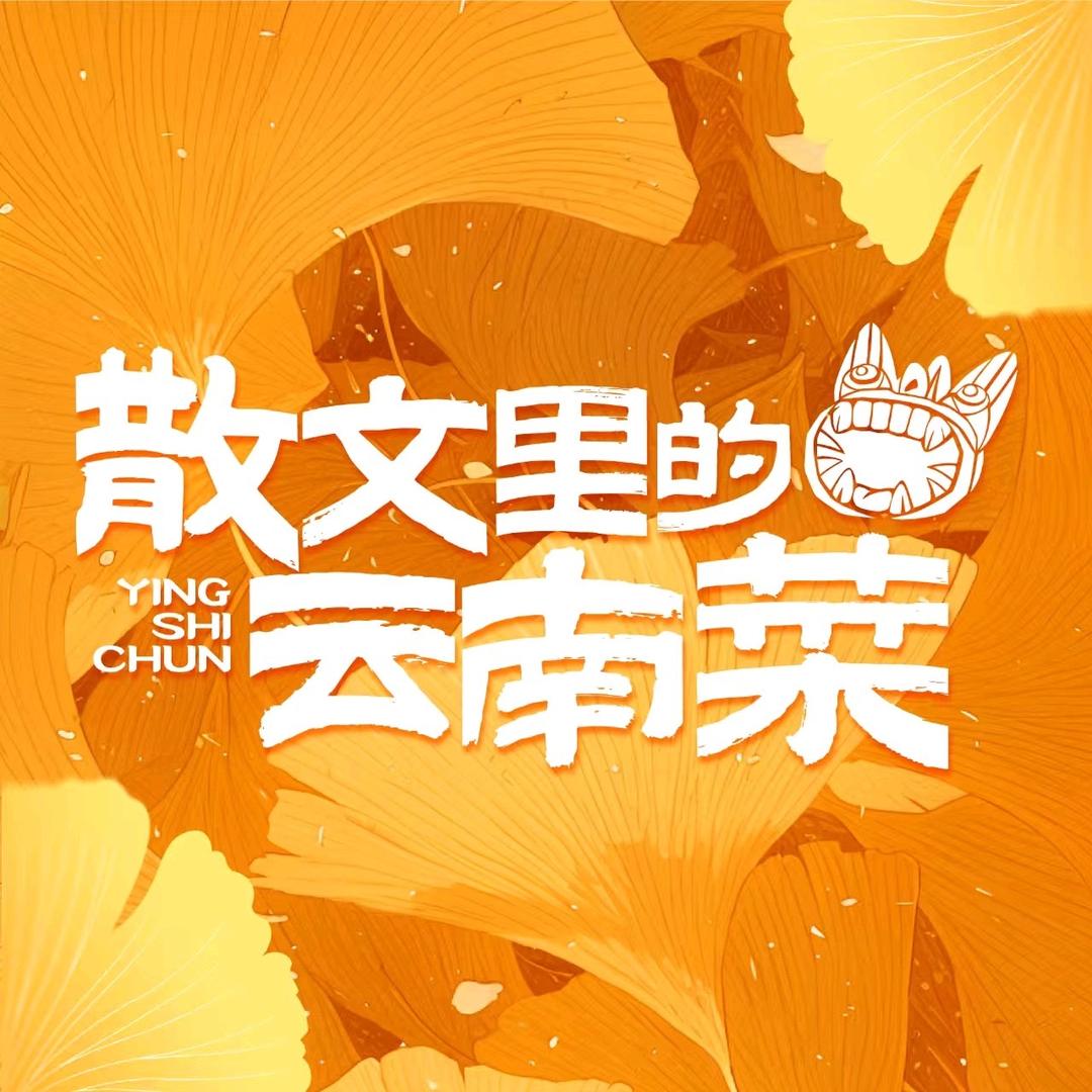 映时春·小炒云南菜（官方号）