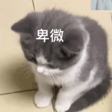 总被女人骗！