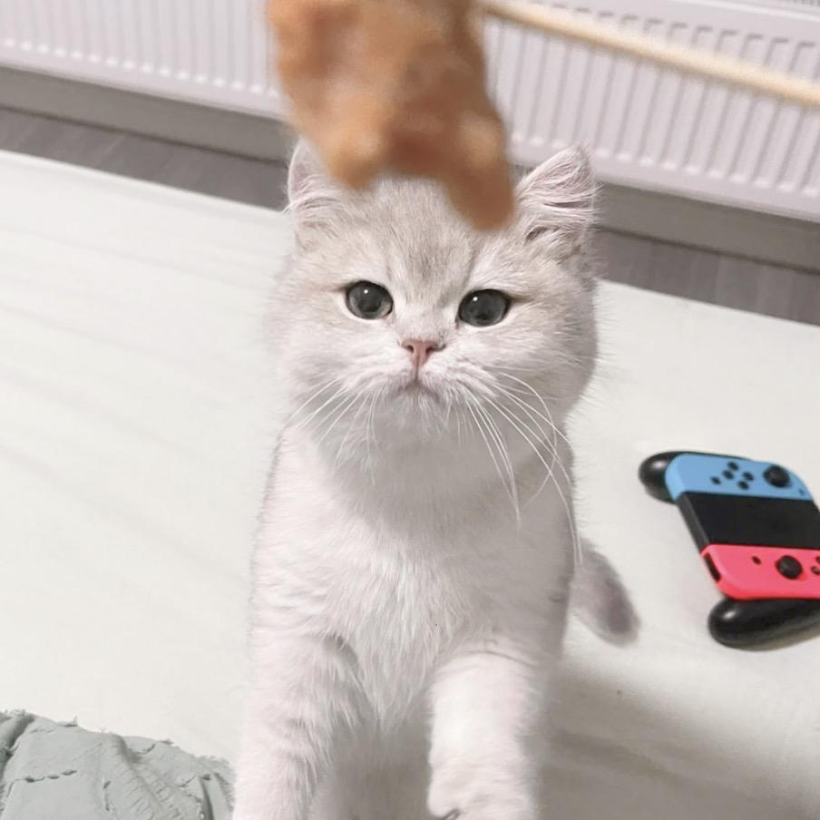 啦啦啦啦啦