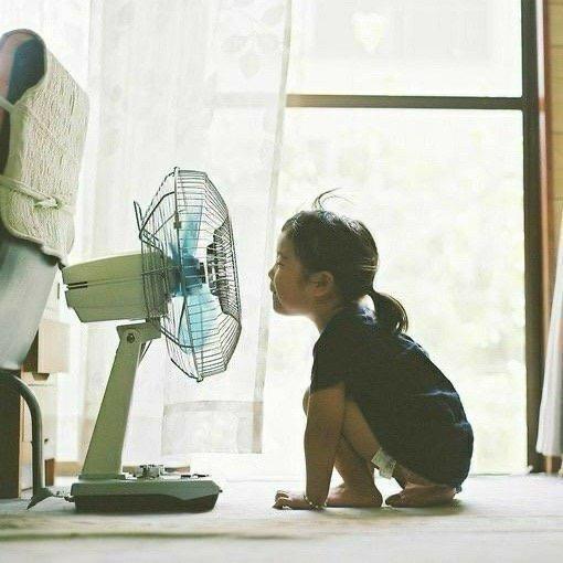 陈狗屎