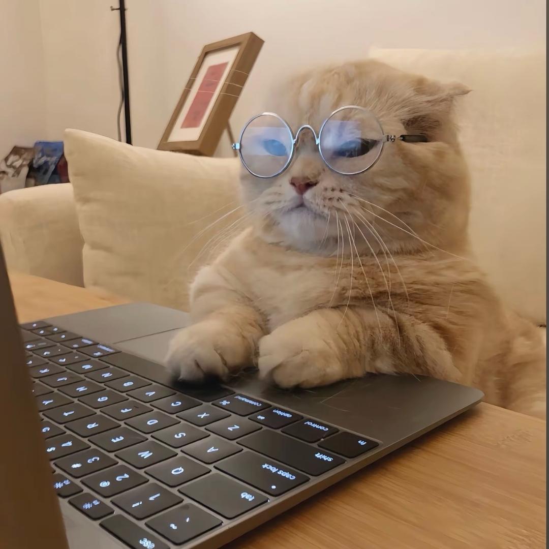 养猫养狗-阿硕说