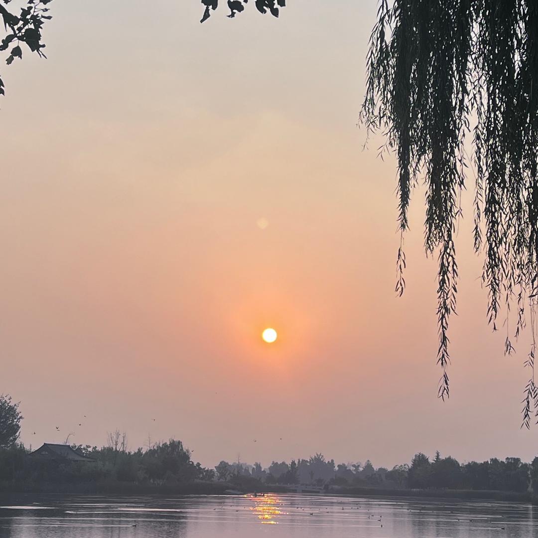 沉浸式学习