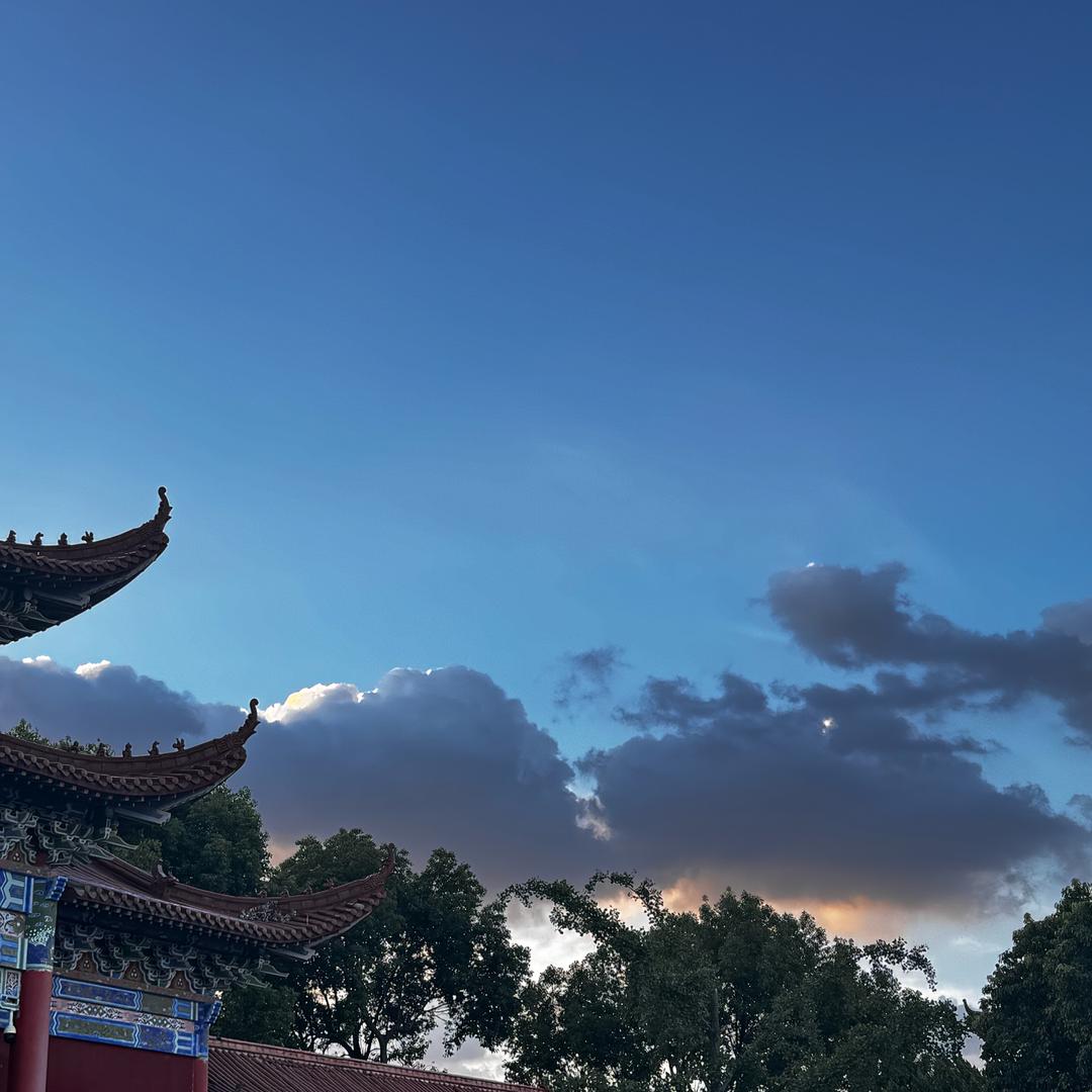 买辣椒也用券～