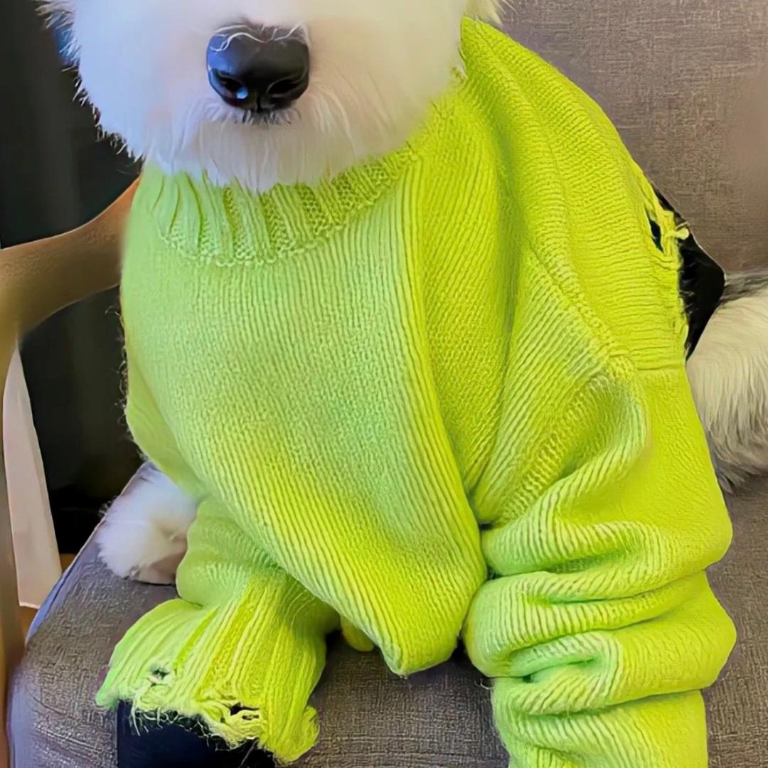 大唐广州畿卺投资有限公司狒狒直播号