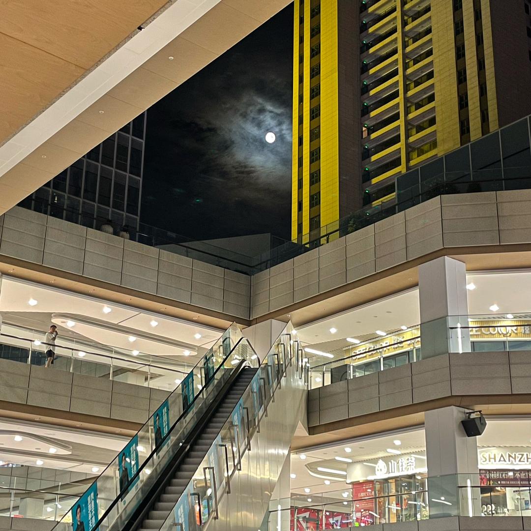 ㅤㅤ ㅤ ︋︋ㅤ ㅤ