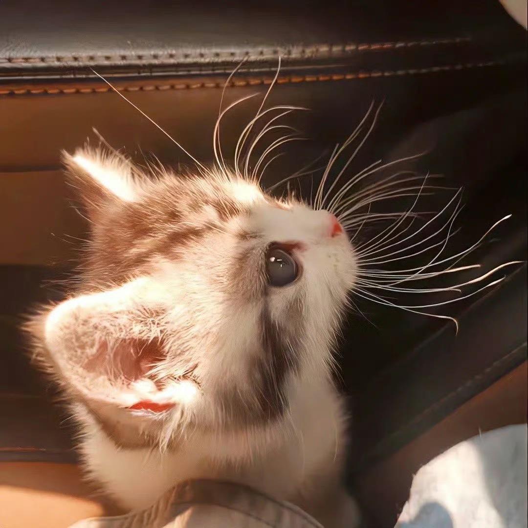 财神爷庇护的宝贝