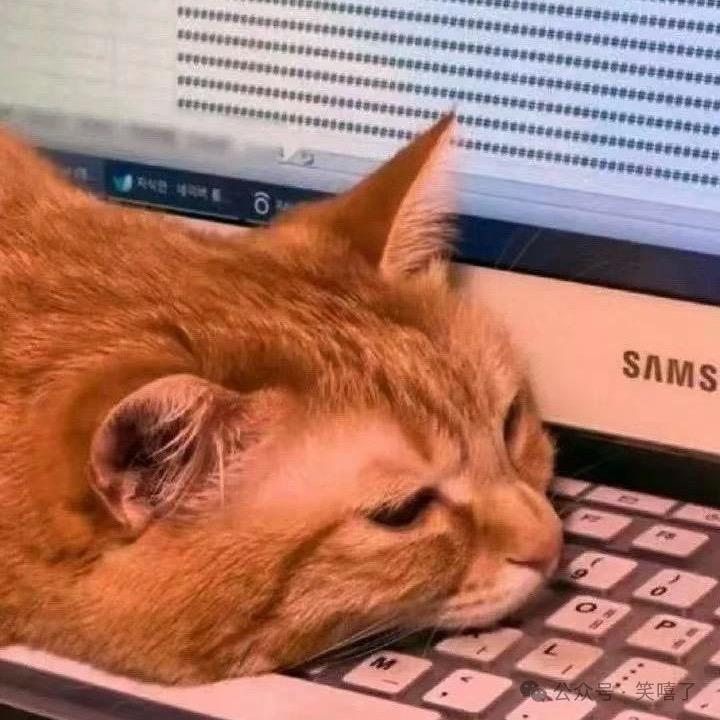 幸运星