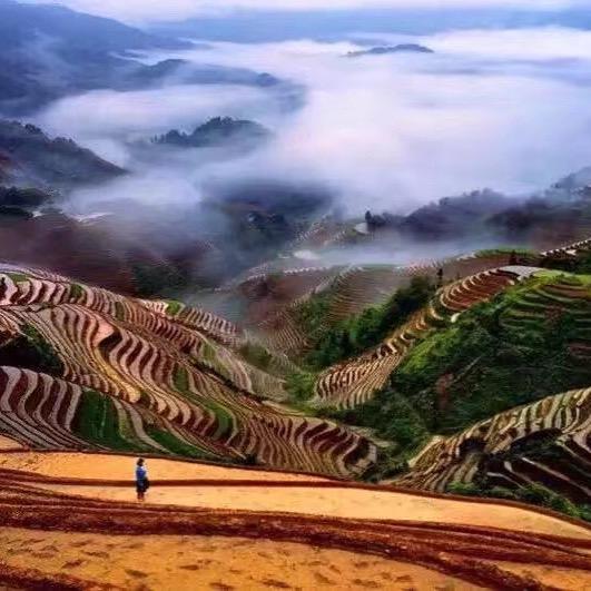 大城门 联丰制袋厂