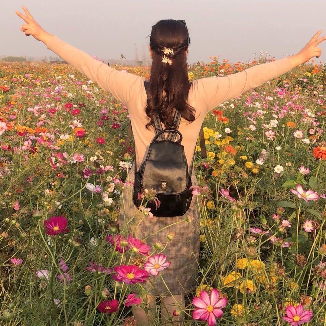 兴化--上海顺风车（蓝色精灵）