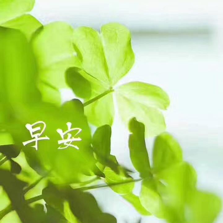 优惠福利团购推荐直播间