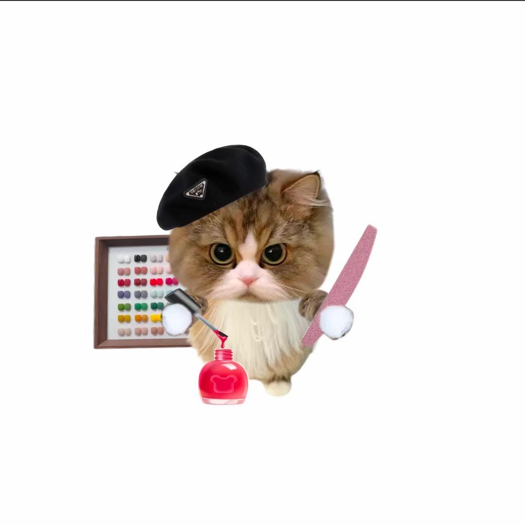 莱阳才不悲伤(见过王源一次版)