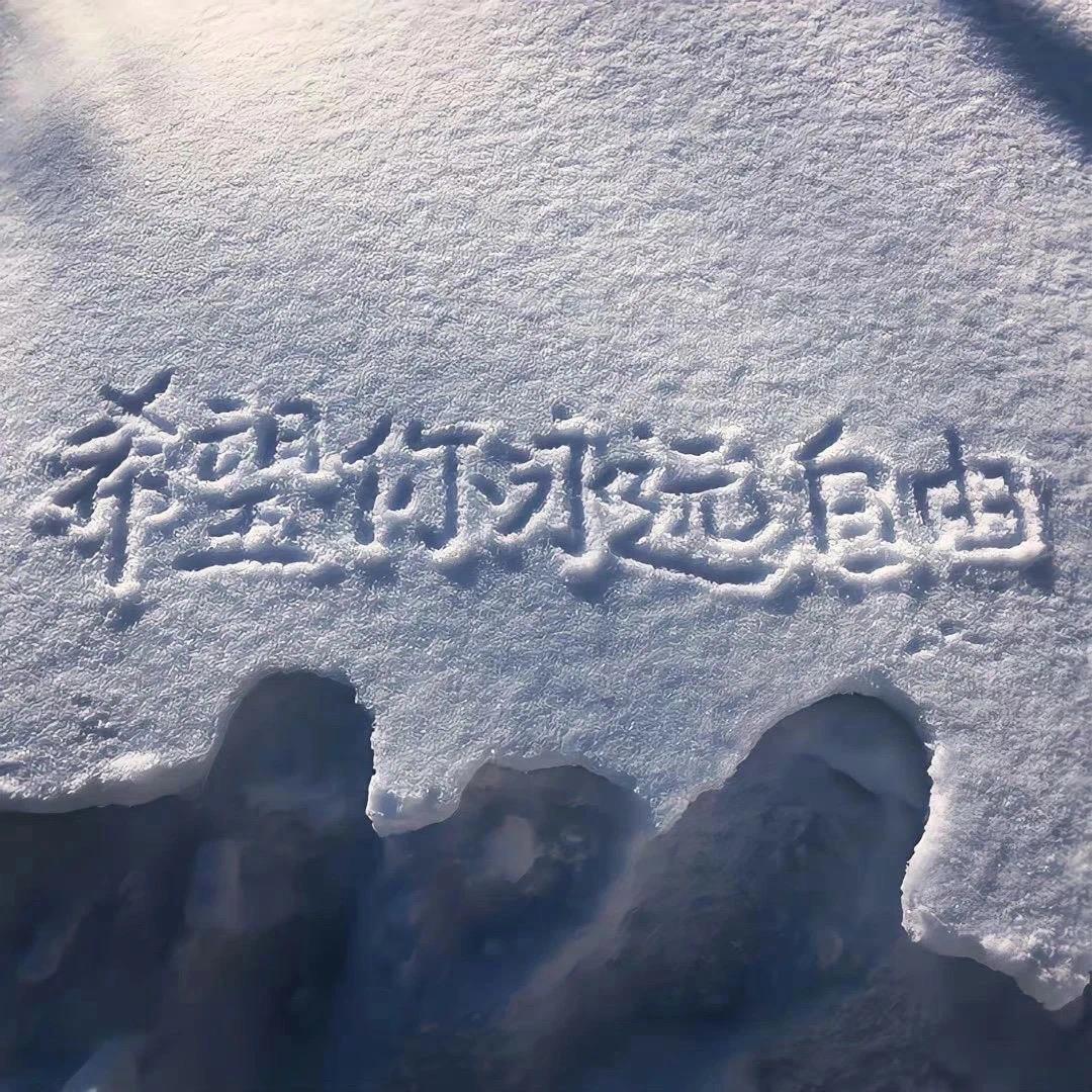 小强的🎹日记