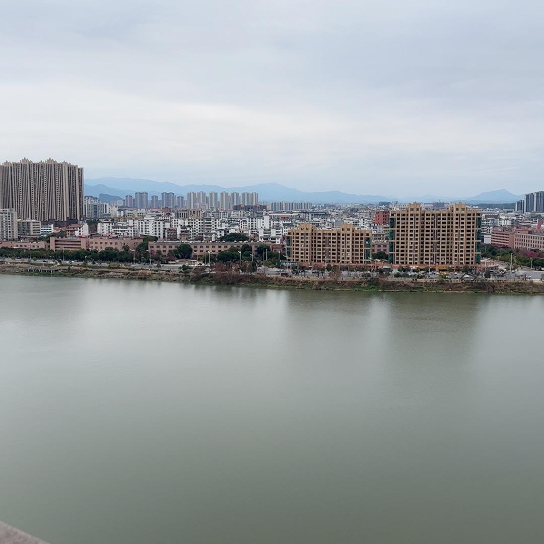 小白条
