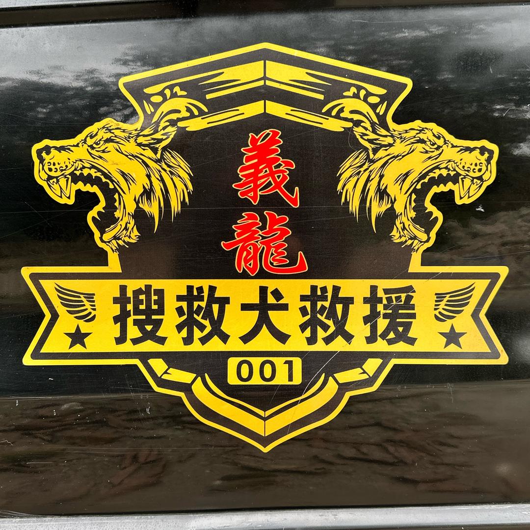 義龍搜救犬