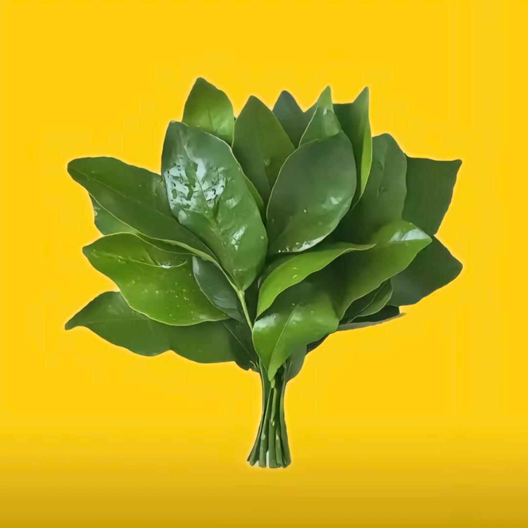 ꫛ 小幸运໊ོﻬ