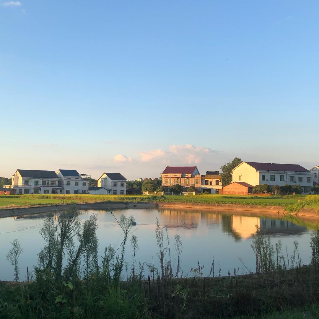 风里的生活札记