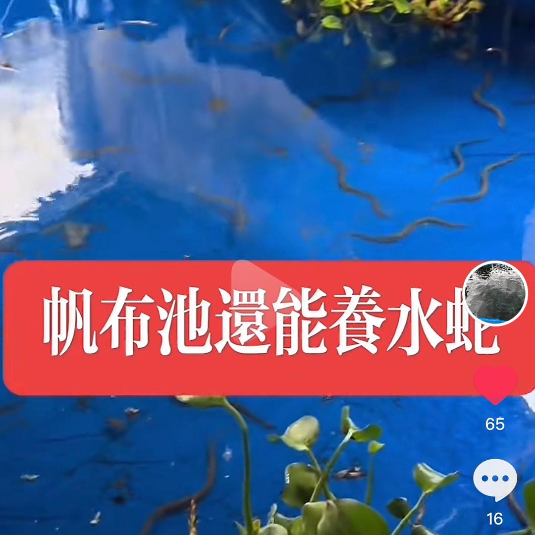 河源帆布鱼池设备厂家🌈