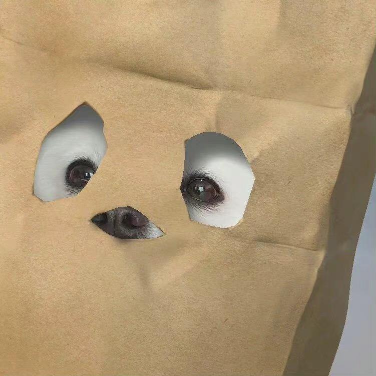 En媛媛不圆