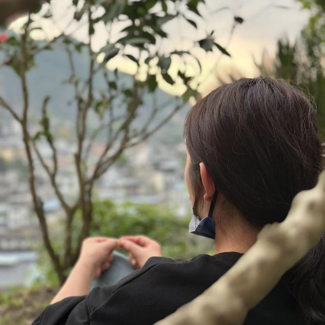 丁丁猫