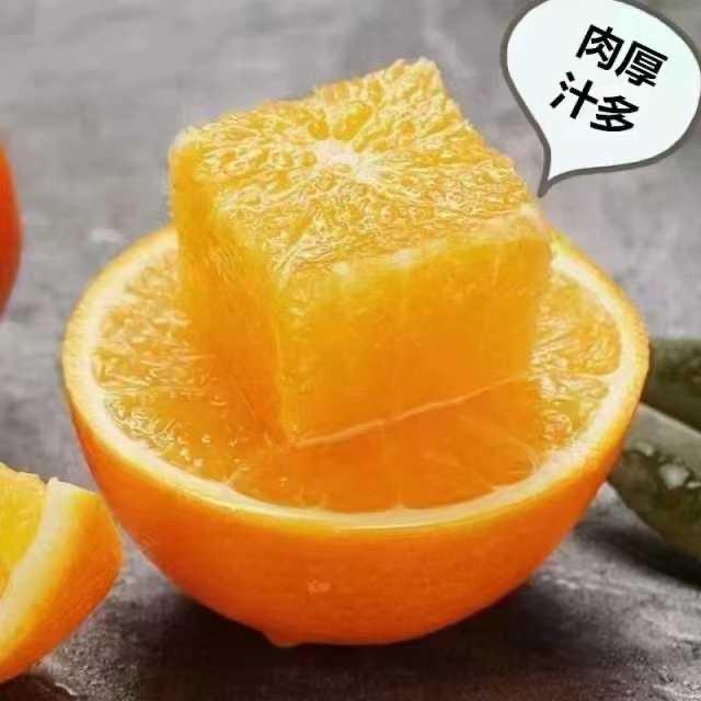 赣南水果大白