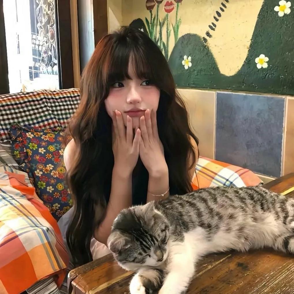 懒散的猫.