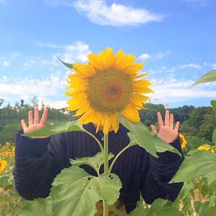 Summer Liu