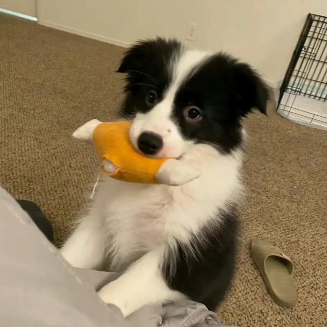 Kkiki