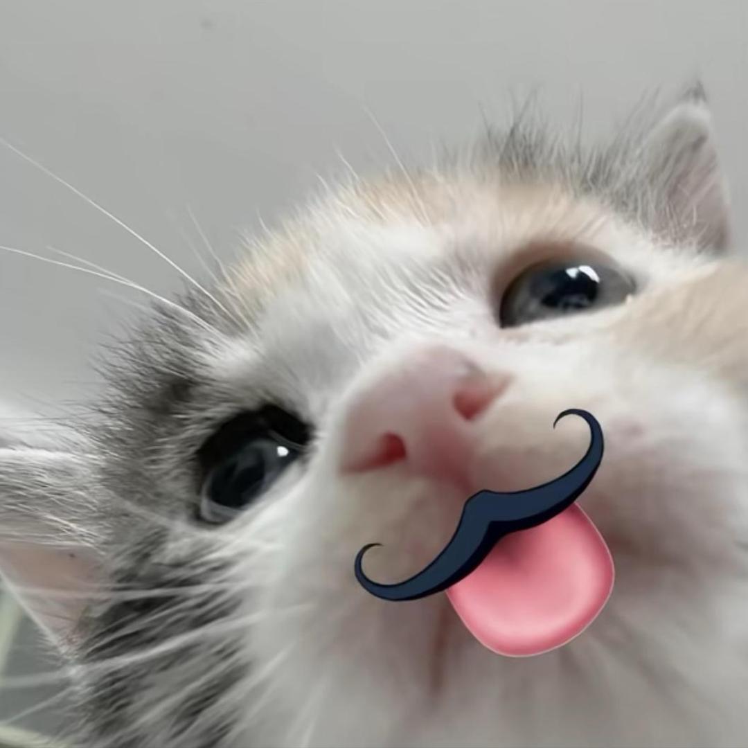 鱼fish