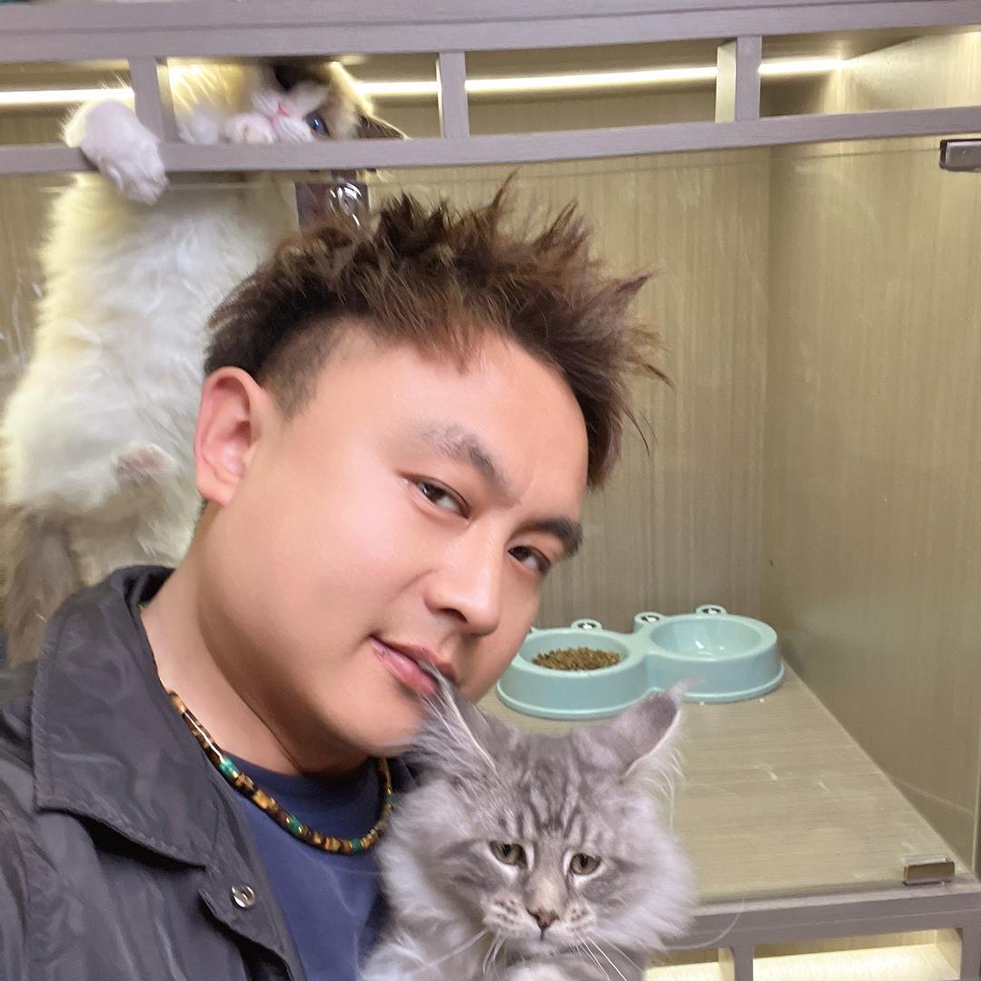 胖猫的猫
