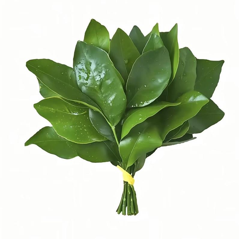 摩尔蛋