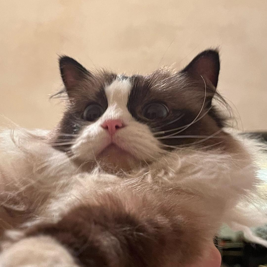 一个快乐的小孩🙂