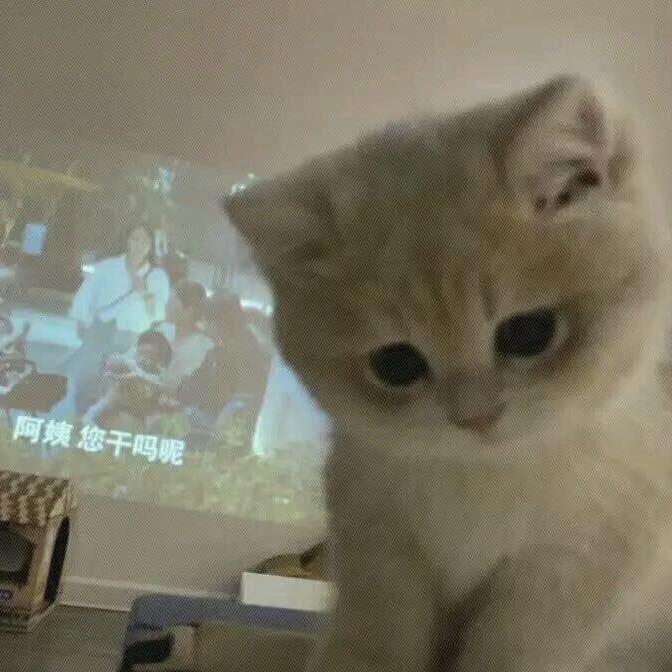 西伯利亚泰坦巨龙生吞亚特兰大迷你乌龟