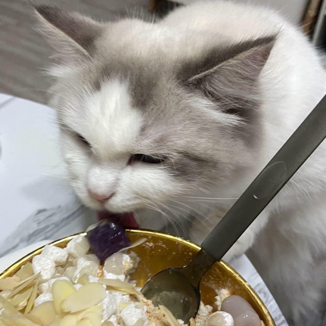 不准偷吃