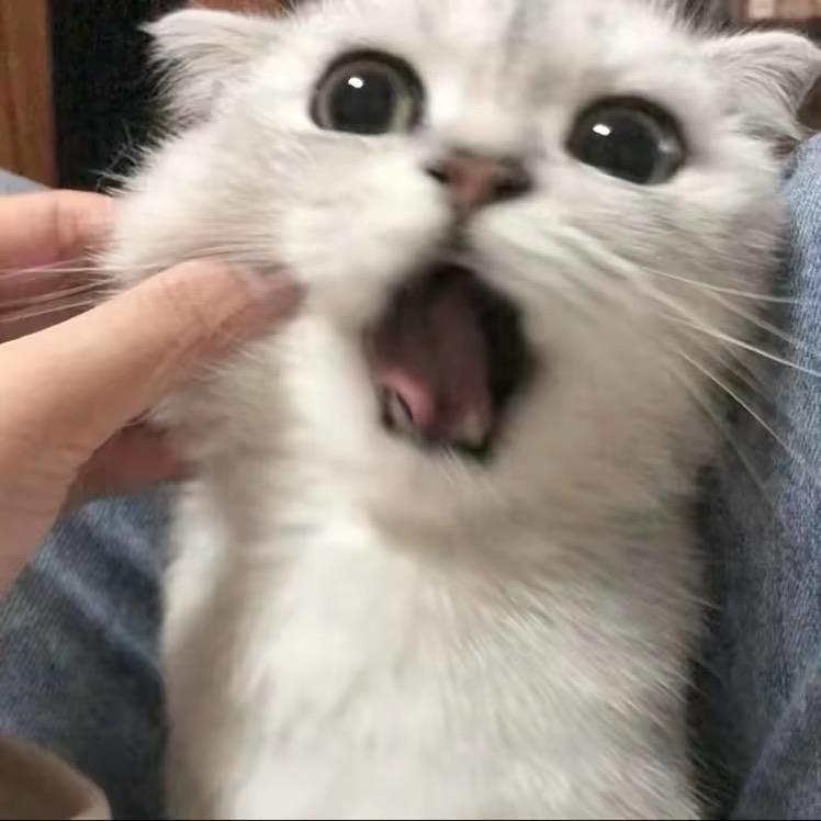 莫