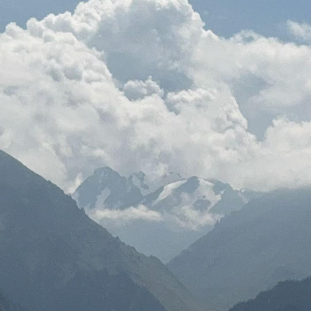 金虎纳福