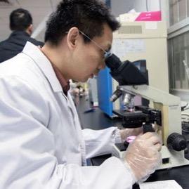 亲子检定～DNA张老师🧑‍🏫