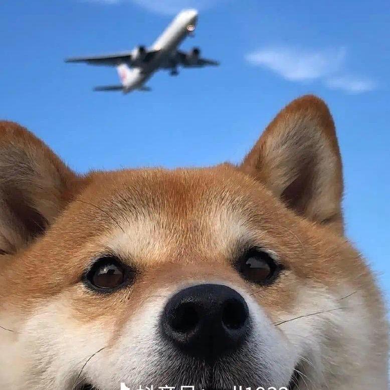 榕畅商行