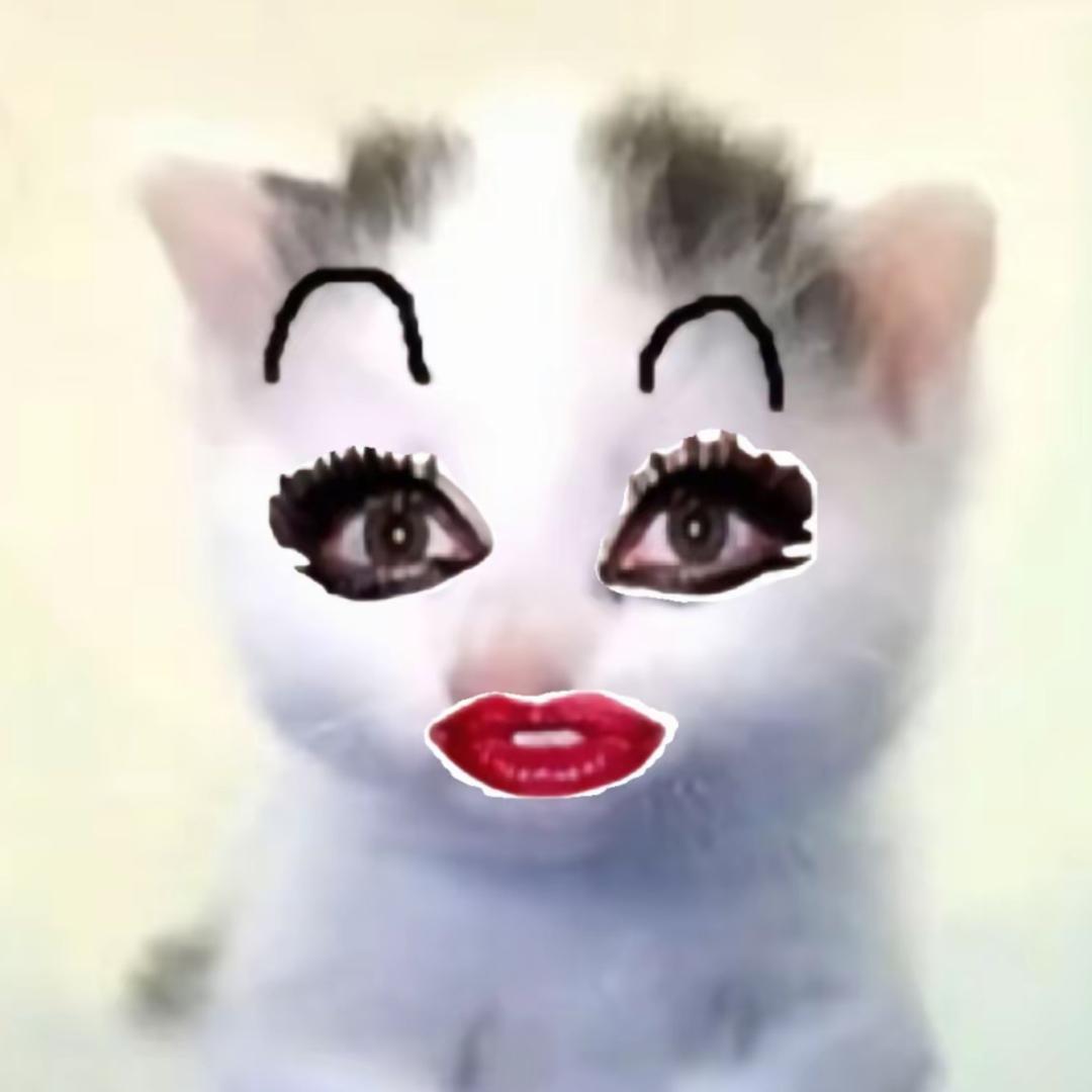婷少