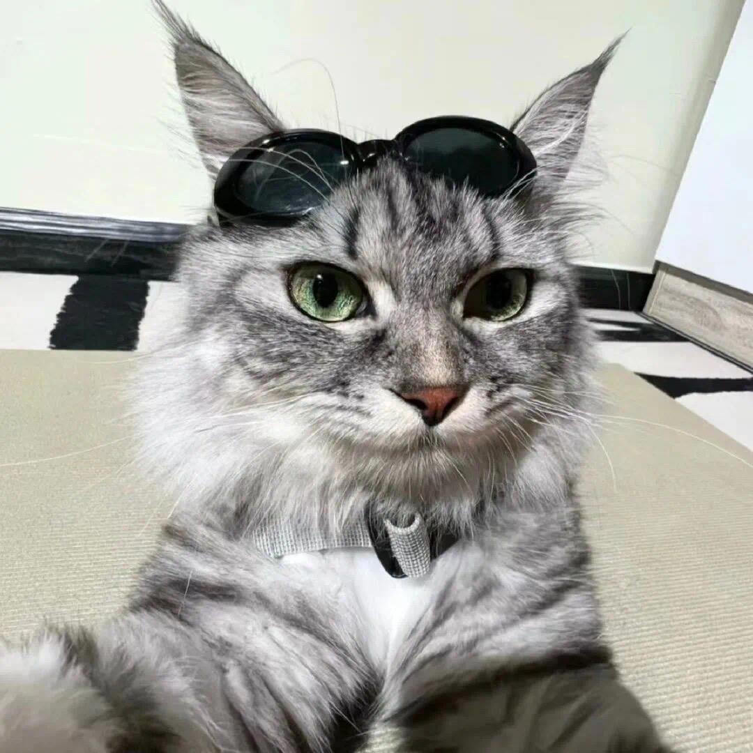 宇