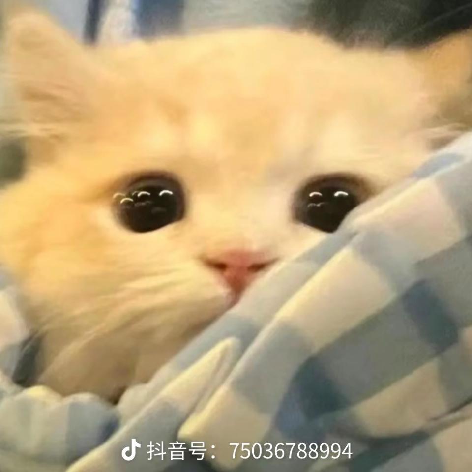 临斯贸易创意生活坊