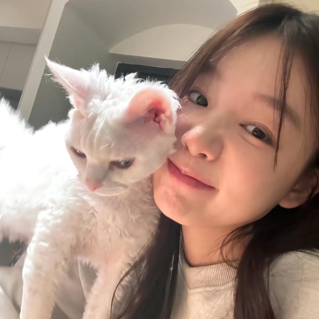 曦曦叽豆_（减肥版😼