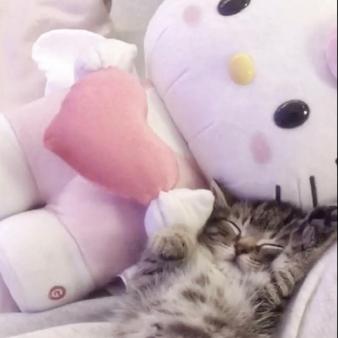 L2_Kitty
