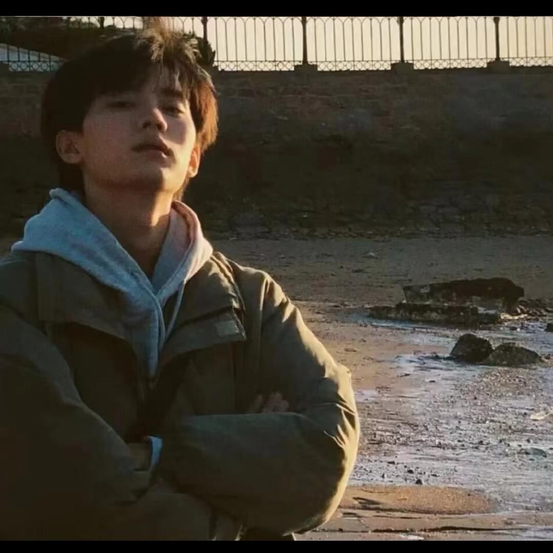 枫
