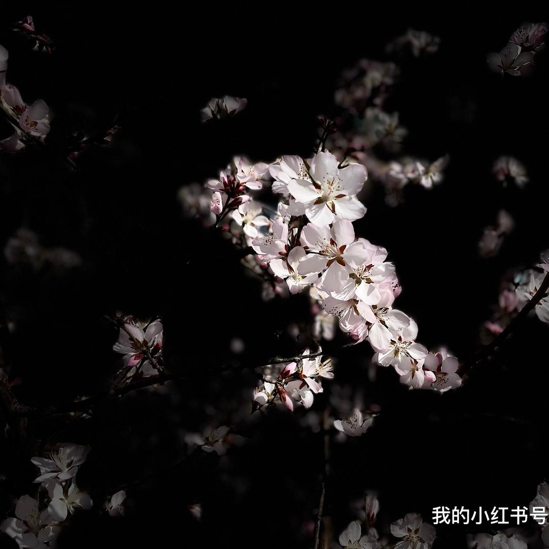 Attar 香水